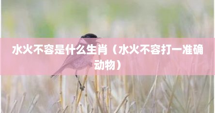 水火不容是什么生肖（水火不容打一准确动物）