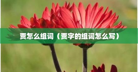 贾怎么组词（贾字的组词怎么写）