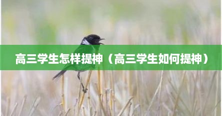 高三学生怎样提神（高三学生如何提神）
