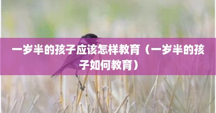 一岁半的孩子应该怎样教育（一岁半的孩子如何教育）
