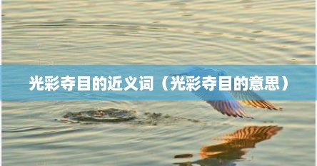 光彩夺目的近义词（光彩夺目的意思）