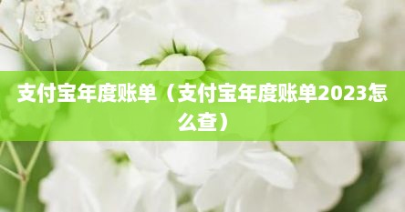 支付宝年度账单（支付宝年度账单2023怎么查）