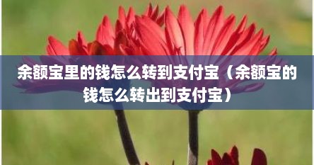 余额宝里的钱怎么转到支付宝(余额宝的钱怎么转出到支付宝) 余额宝里的钱怎么转到支付宝(余额宝的钱怎么转出到支付宝)