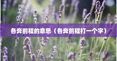 各奔前程各西东意思（各奔前程的上一句是什么）