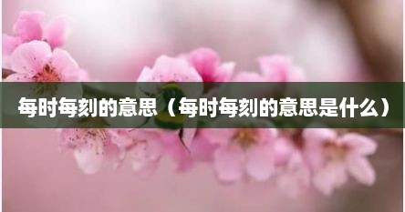 每时每刻的意思（每时每刻的意思是什么）