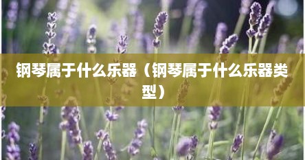 钢琴属于什么乐器（钢琴属于什么乐器类型）