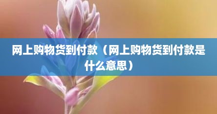 网上购物货到付款（网上购物货到付款是什么意思）