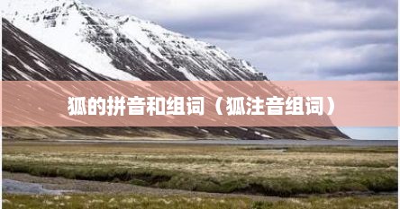 狐的拼音和组词（狐注音组词）