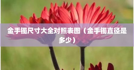 金手镯尺寸大全对照表图（金手镯直径是多少）