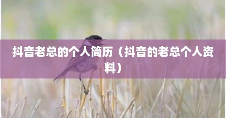 抖音老总的个人简历（抖音的老总个人资料）