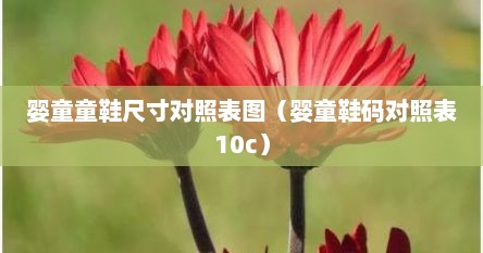 婴童童鞋尺寸对照表图（婴童鞋码对照表10c）