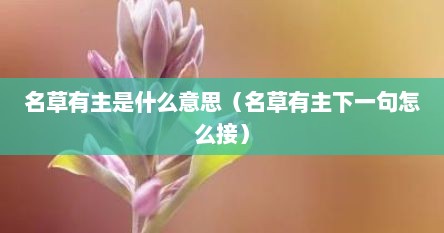 名草有主笔趣阁（名草有主 小说全文免费阅读）