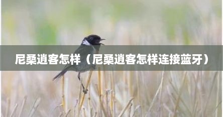 尼桑逍客怎样（尼桑逍客怎样连接蓝牙）