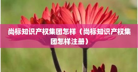 尚标知识产权集团怎样（尚标知识产权集团怎样注册）