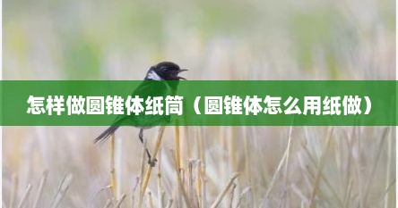 怎样做圆锥体纸筒（圆锥体怎么用纸做）