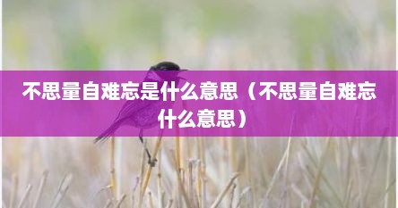 不思量自难忘是什么意思讲解（不思量自难忘的不思量什么意思）