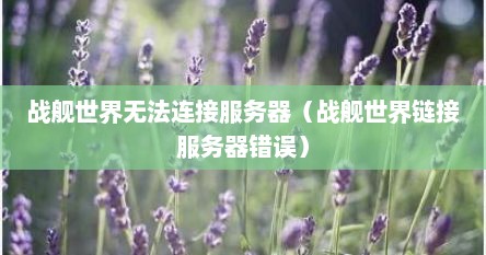 战舰世界无法连接服务器（战舰世界链接服务器错误）
