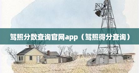 驾照分数查询官网app（驾照得分查询）