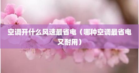 空调开什么风速最省电（哪种空调最省电又耐用）