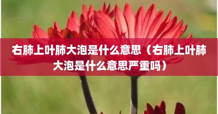 右肺上叶肺大泡是什么意思（右肺上叶肺大泡是什么意思严重吗）