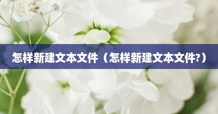 怎样新建文本文件（怎样新建文本文件?）