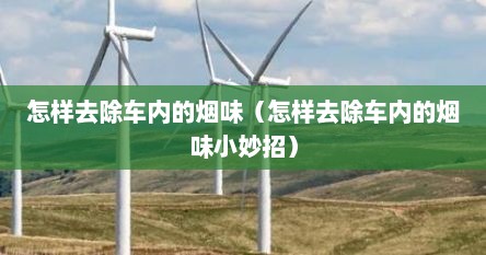 怎样去除车内的烟味（怎样去除车内的烟味小妙招）