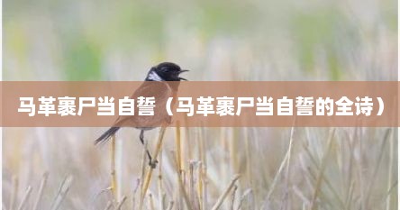 马革裹尸当自誓（马革裹尸当自誓的全诗）