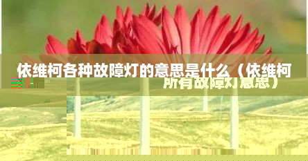 依维柯各种故障灯的意思是什么（依维柯所有故障灯意思）