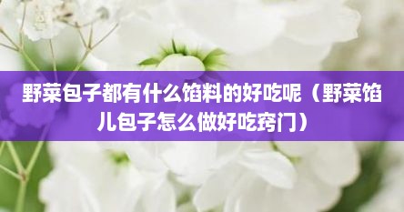 野菜包子都有什么馅料的好吃呢（野菜馅儿包子怎么做好吃窍门）