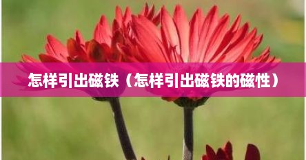 怎样引出磁铁（怎样引出磁铁的磁性）