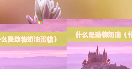 什么是动物奶油（什么是动物奶油蛋糕）
