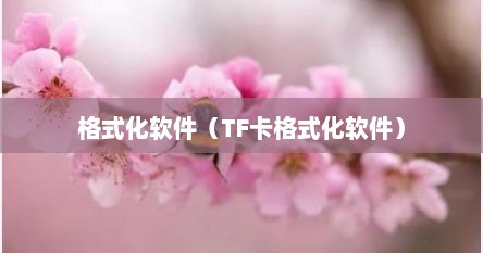 格式化软件（TF卡格式化软件）