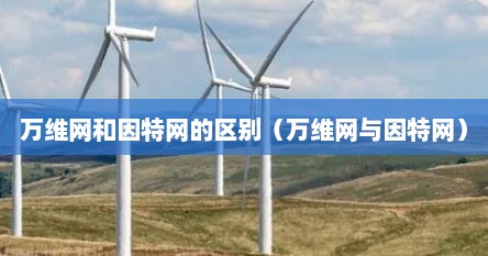 万维网和因特网的区别（万维网与因特网）