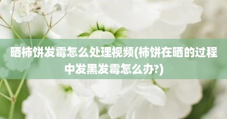 晒柿饼发霉怎么处理视频(柿饼在晒的过程中发黑发霉怎么办?)