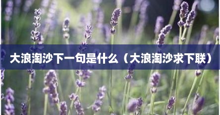 大浪淘沙下一句是什么（大浪淘沙求下联）