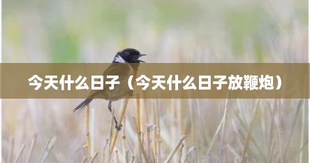 今天什么日子（今天什么日子放鞭炮）
