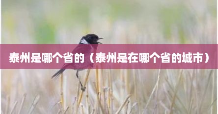 泰州是哪个省的（泰州是在哪个省的城市）