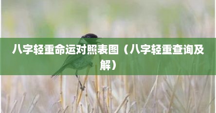 八字轻重命运对照表图（八字轻重查询及解）