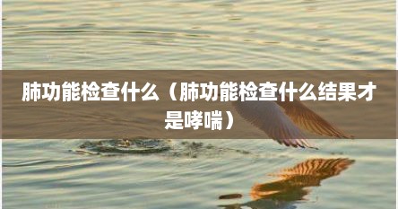 肺功能检查什么（肺功能检查什么结果才是哮喘）