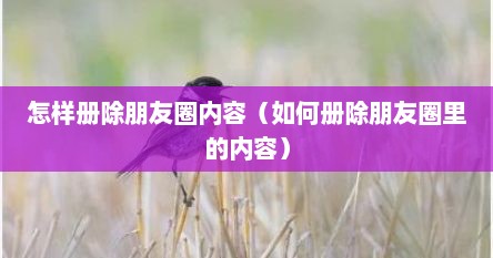 怎样册除朋友圈内容（如何册除朋友圈里的内容）
