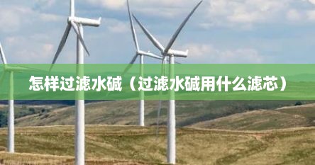 怎样过滤水碱（过滤水碱用什么滤芯）