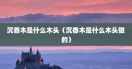 沉香木是什么木头（沉香木是什么木头做的）