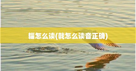 辎怎么读(戟怎么读音正确)