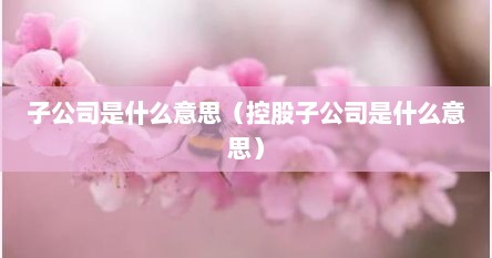子公司是什么意思（控股子公司是什么意思）
