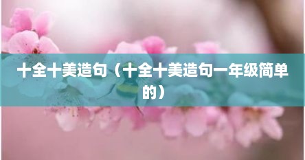 十全十美造句（十全十美造句一年级简单的）
