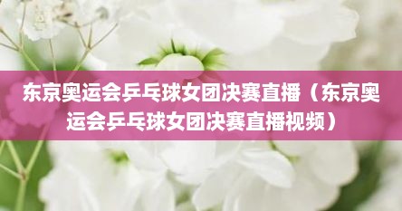 东京奥运会乒乓球女团决赛直播（东京奥运会乒乓球女团决赛直播视频）