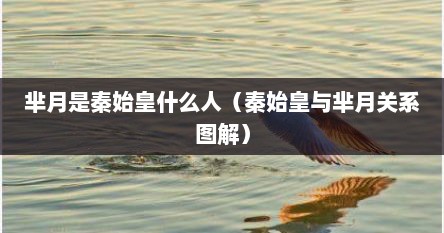 芈月是秦始皇什么人（秦始皇与芈月关系图解）