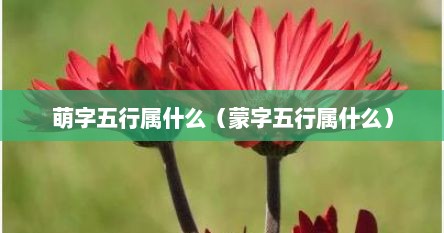 萌字五行属什么（蒙字五行属什么）
