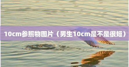 10cm参照物图片（男生10cm是不是很短）