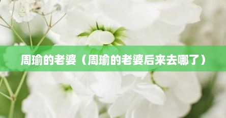 周瑜的老婆（周瑜的老婆后来去哪了）